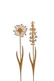 Blume z.St. 2so.rost 16xH75cm Eisen, 9,5xH78cm
