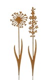 Blume z.St. 2so.rost 24xH112cm Eisen, 13,5xH118cm